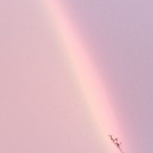 Meet your Posher, Trinity